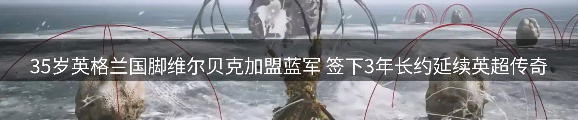 球盟会要闻